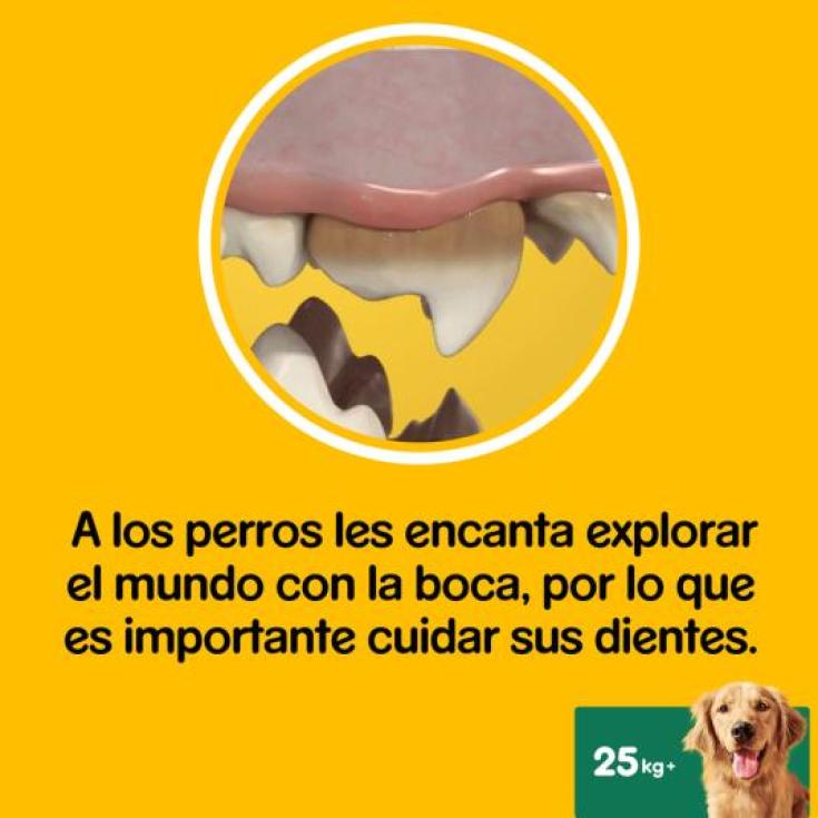 SNACK PERRO DENTASTIX R.GRANDES PEDIGREE BOLSA 270